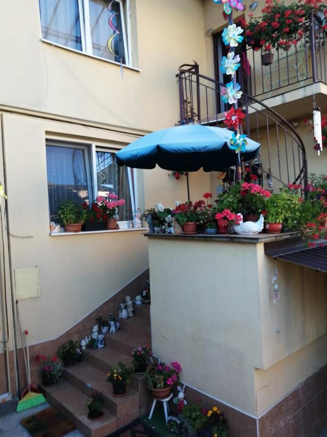 קלוז'-נאפוקה Apartament Cu Doua Camere Si Gradina מראה חיצוני תמונה